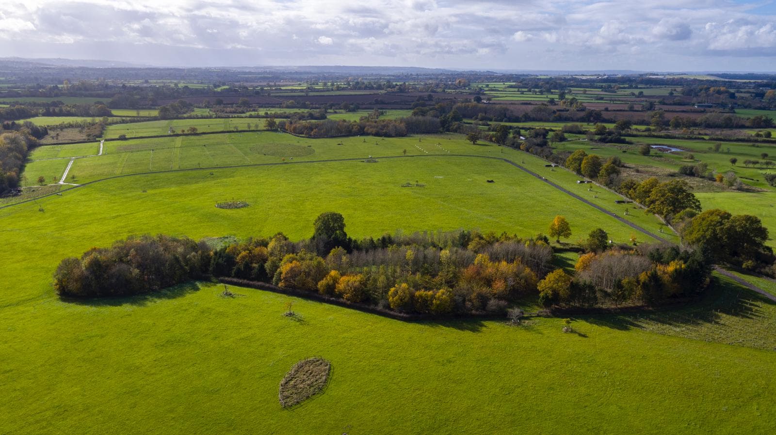 Little Park Equestrian - 4