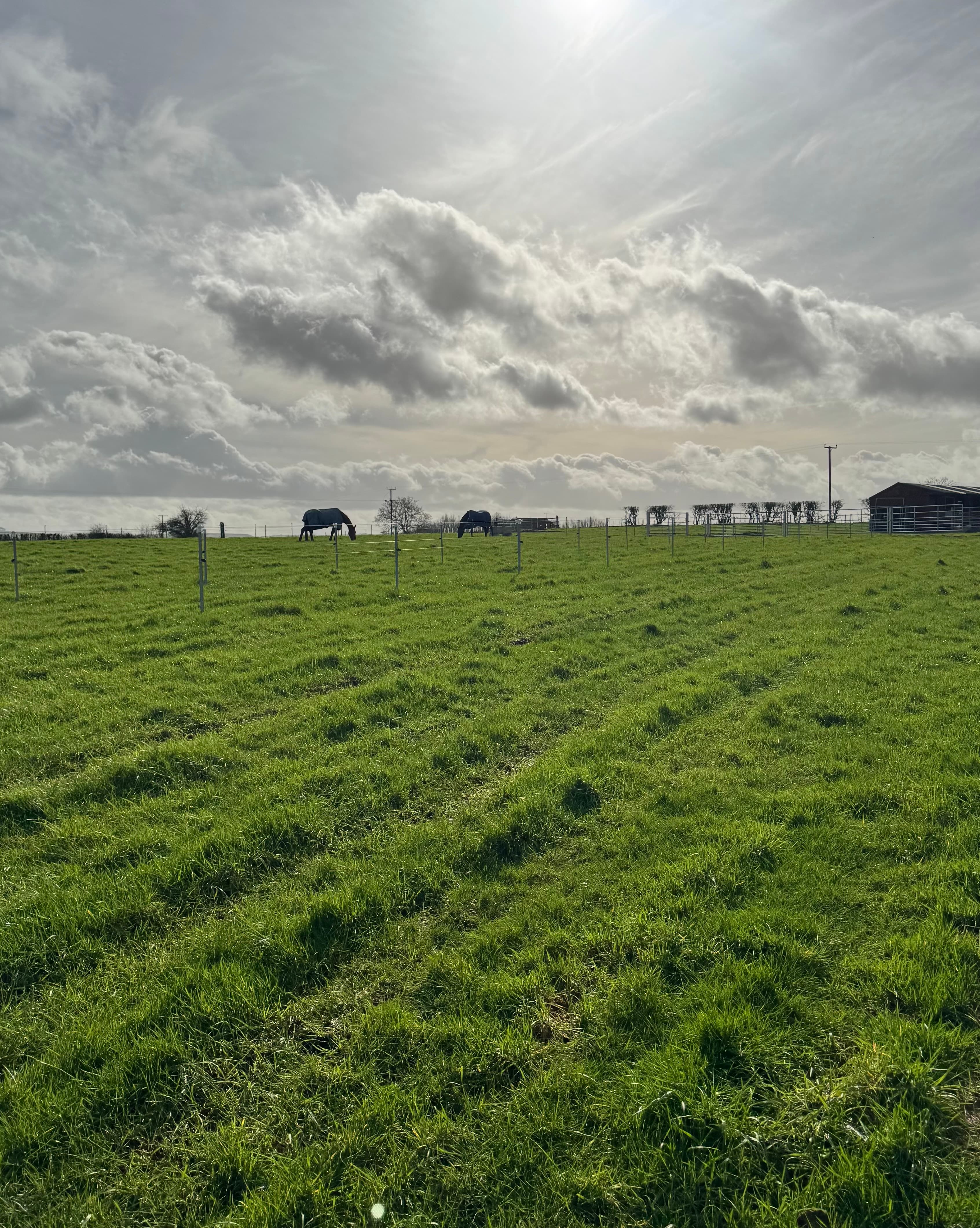 Part/full livery at quiet, home yard - 2