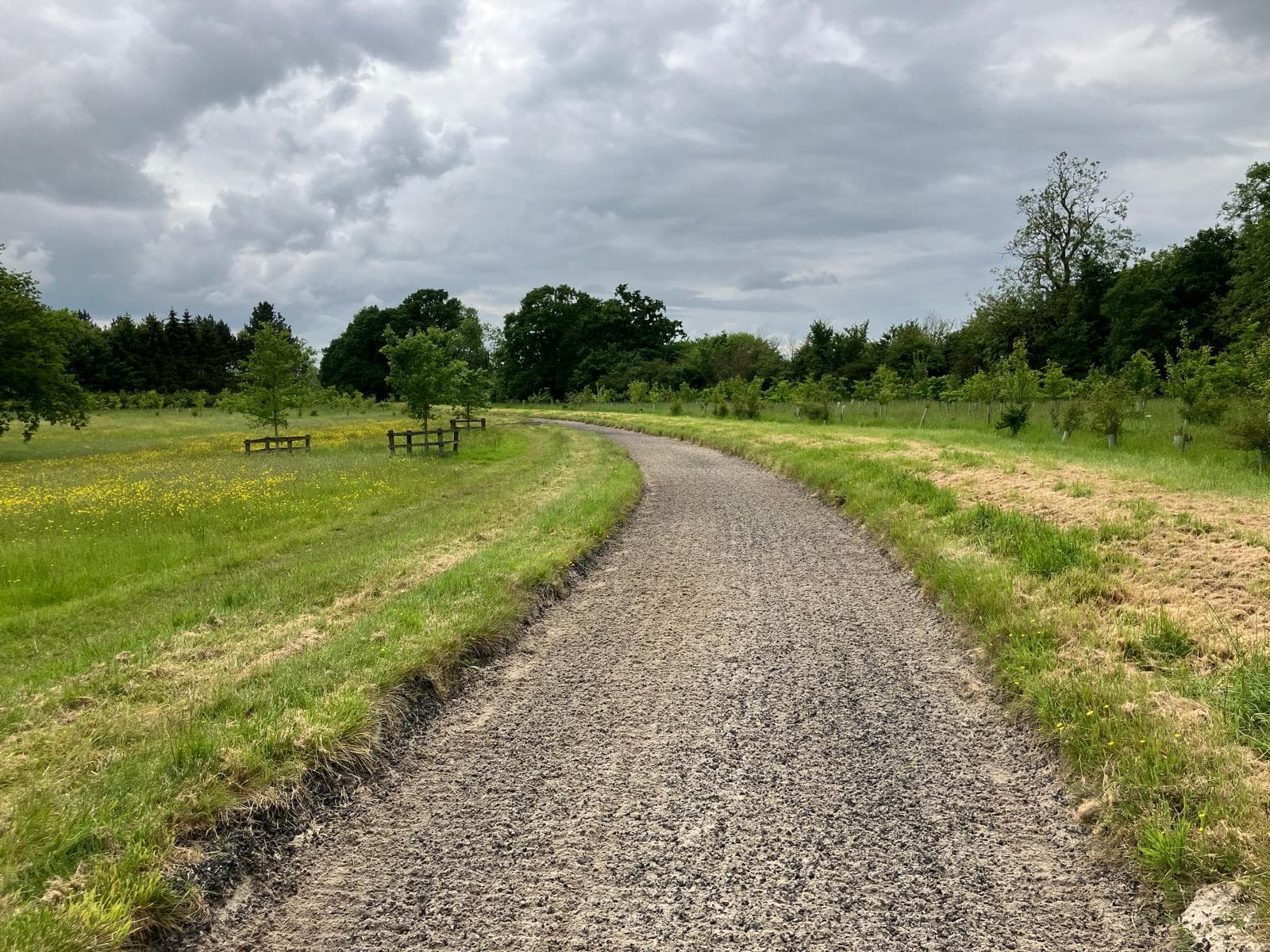 Little Park Equestrian - 6